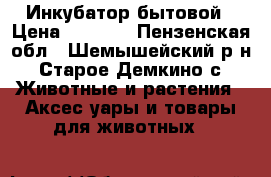 Инкубатор бытовой › Цена ­ 5 000 - Пензенская обл., Шемышейский р-н, Старое Демкино с. Животные и растения » Аксесcуары и товары для животных   